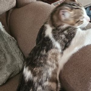 Meet your Posher, Sonya